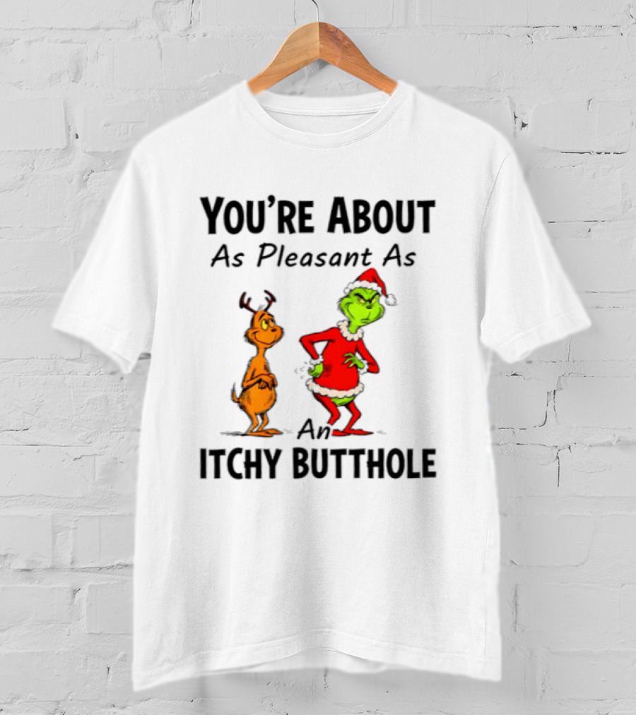 Grinch Santa You're About As Pleasant As An Itchy Butthole T-Shirt