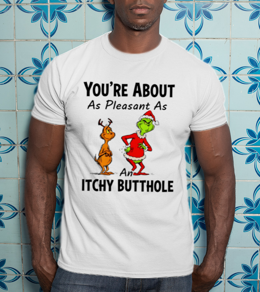 Grinch Santa You're About As Pleasant As An Itchy Butthole T-Shirt