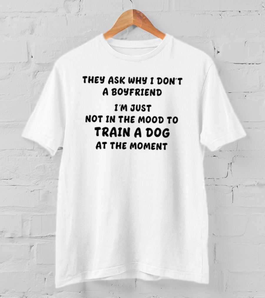They Ask Why I Don't Have A Boyfriend I'm Just Not In The Mood To Train A Dog At The Moment T-Shirt