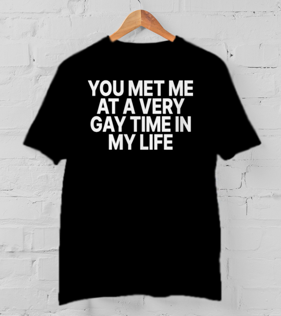 You Met Me At A Very Gay Time In My Life T-Shirt