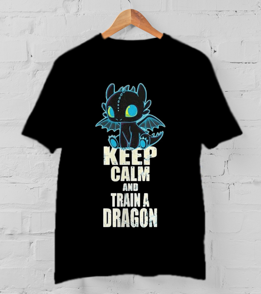 Keep Calm And Train A Dragon Toothless How To Train Your Dragon Cartoon T-Shirt