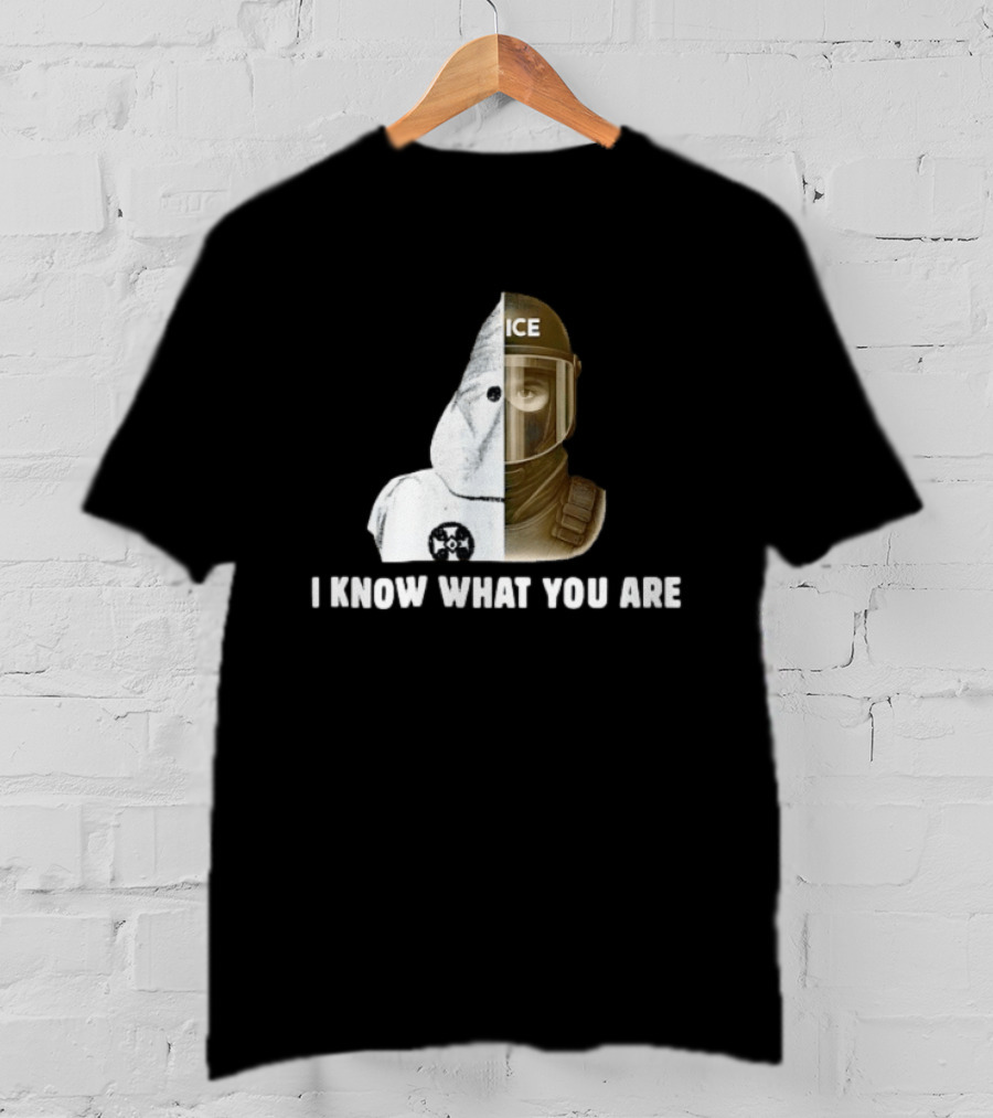 Abolish ICE Social Justice I Know What You Are KKK Comparison T-Shirt