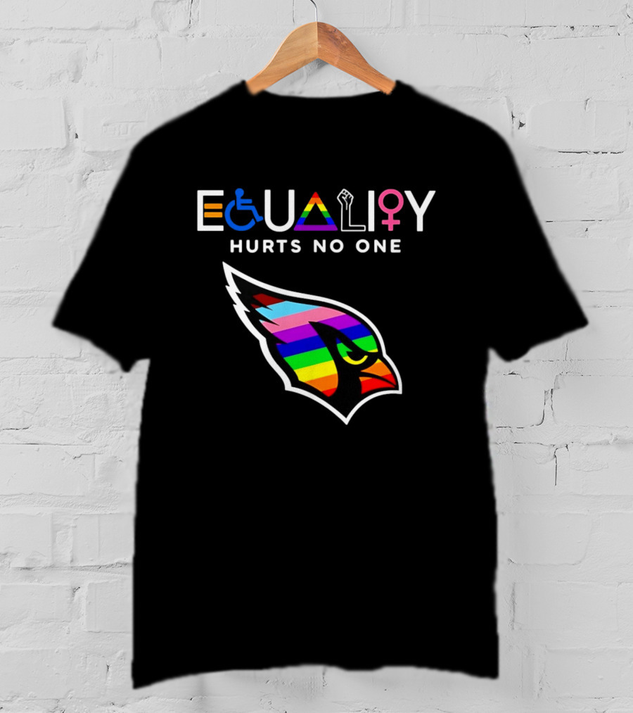 Arizona Cardinals Pride Equality Hurts No One Inclusive Message T-Shirt