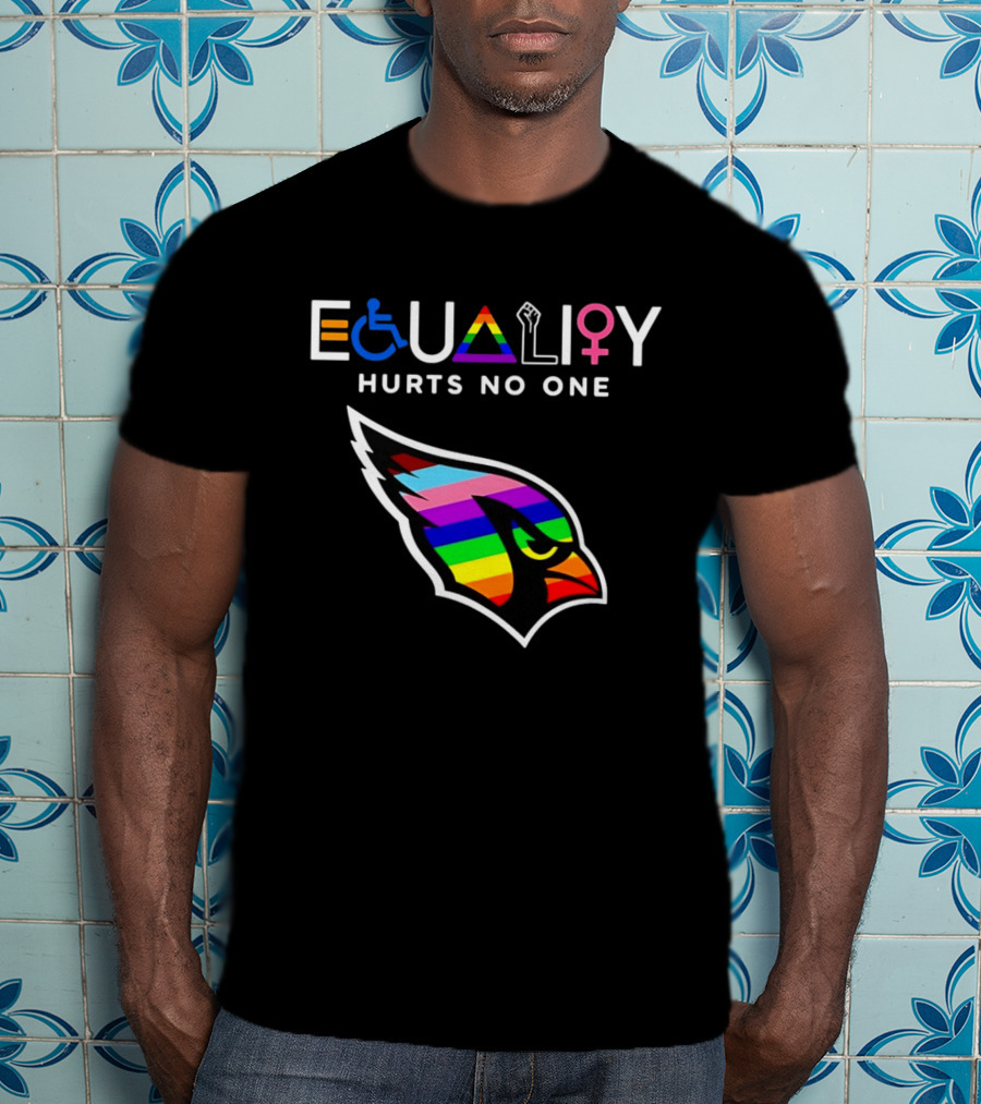 Arizona Cardinals Pride Equality Hurts No One Inclusive Message T-Shirt