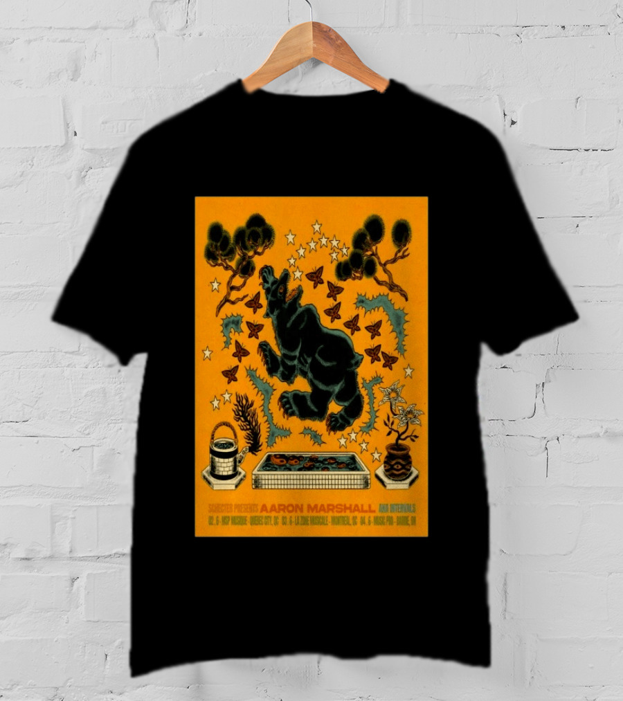 Aaron Marshall Intervals 2026 Canadian Clinic Tour Quebec City Montreal Barrie T-Shirt