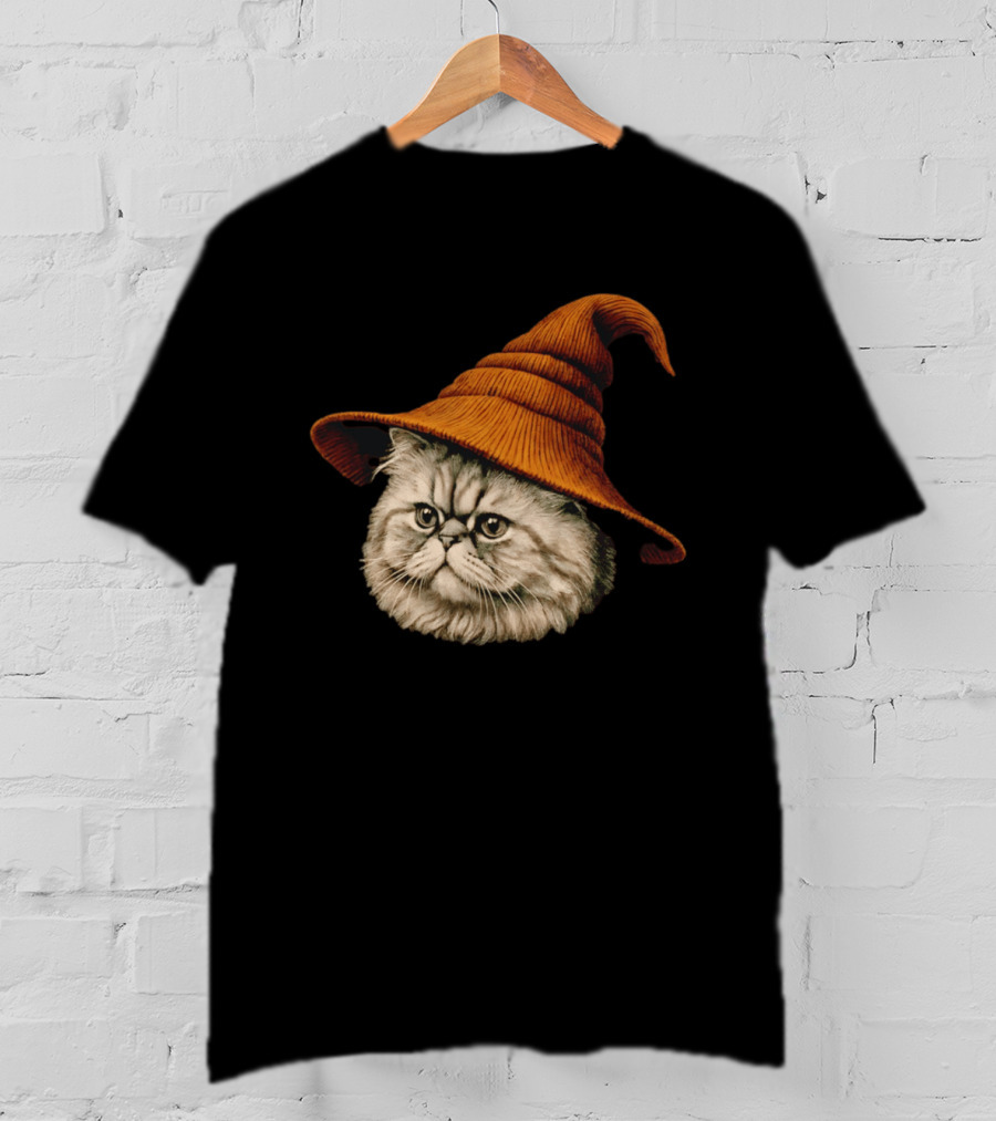 Beanie Cat Wizard Cartoon Plush Orange Hat Feline T-Shirt