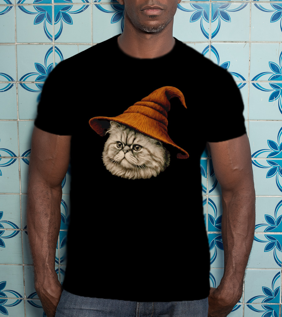 Beanie Cat Wizard Cartoon Plush Orange Hat Feline T-Shirt