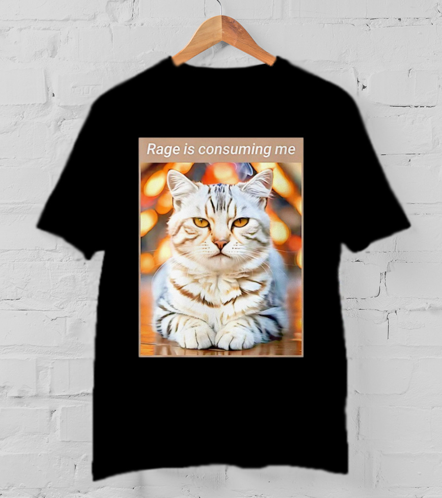 Cat Rage Is Consuming Me Meme Tiger Stripes T-Shirt