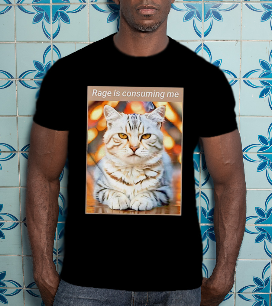 Cat Rage Is Consuming Me Meme Tiger Stripes T-Shirt