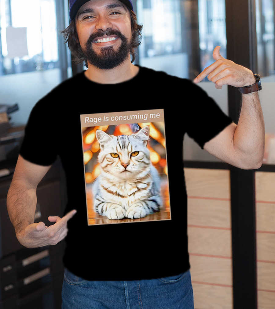 Cat Rage Is Consuming Me Meme Tiger Stripes T-Shirt