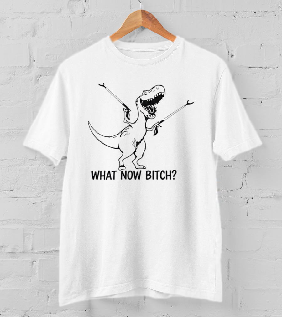 Dinosaur What Now B*tch Funny Rex Sketch With Guns T-Shirt
