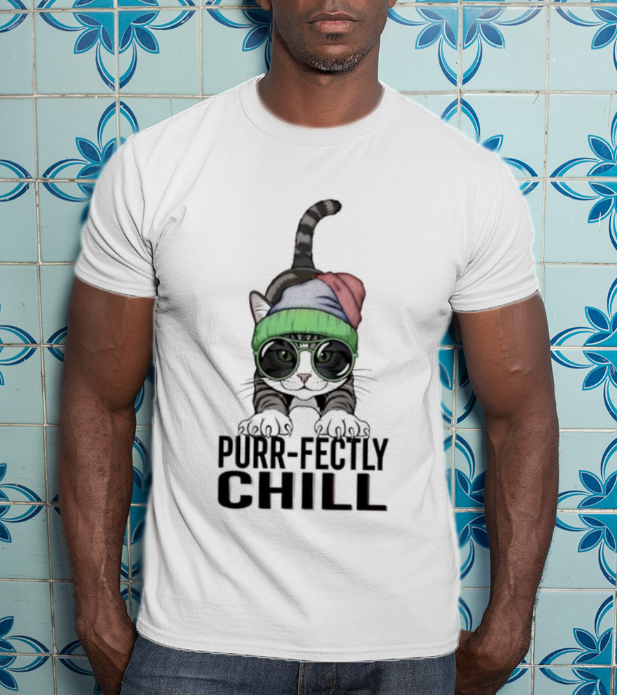 Purr Fectly Chill Cat With Beanie And Sunglasses T-Shirt