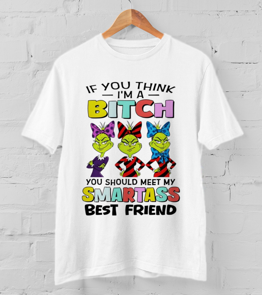 Bitch Smartass Grinch Best Friend Colorful Sassy Attitude T-Shirt
