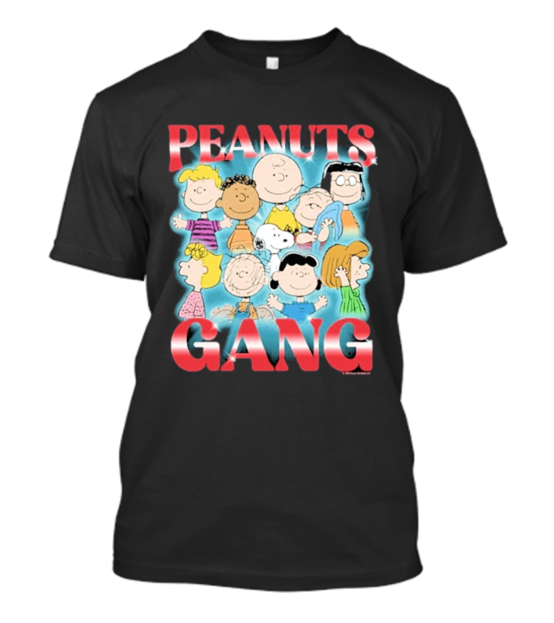 Peanuts Gang Charlie Brown Snoopy Friends T-Shirt