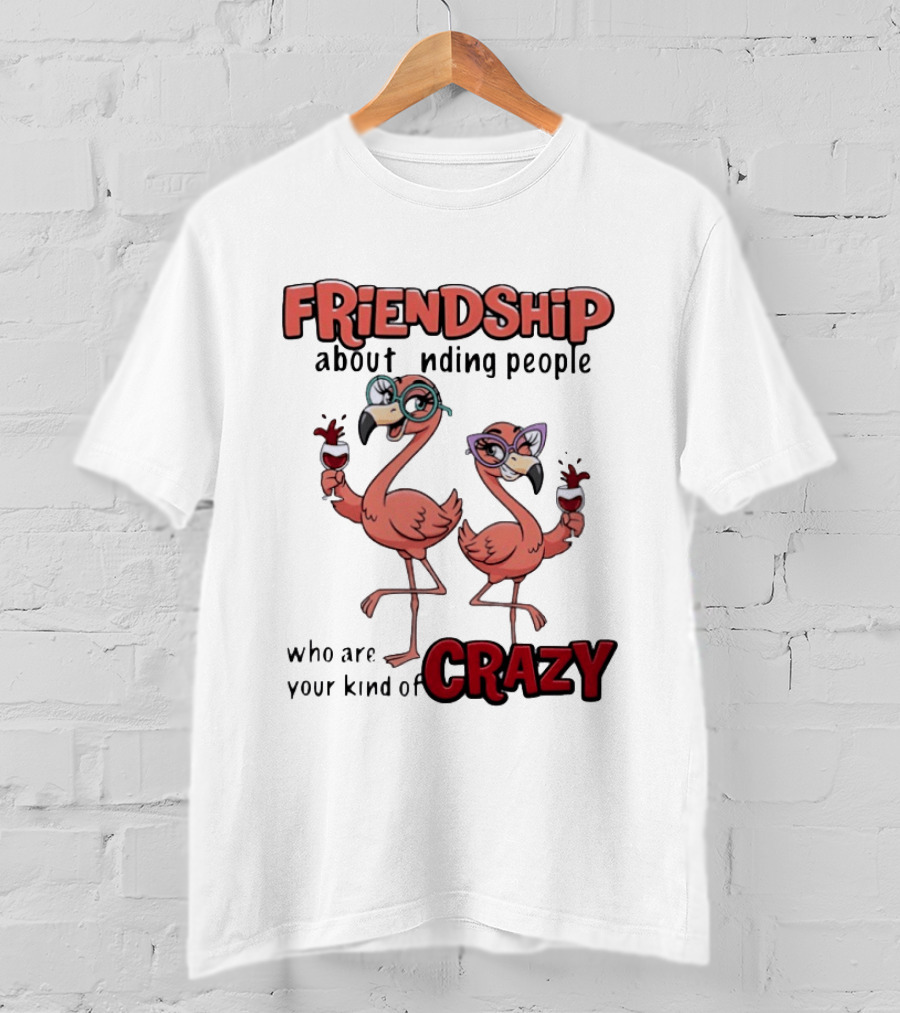 FRIENDSHIP About Finding People Who Are Your Kind Of CRAZY Flamingo Humor T-Shirt