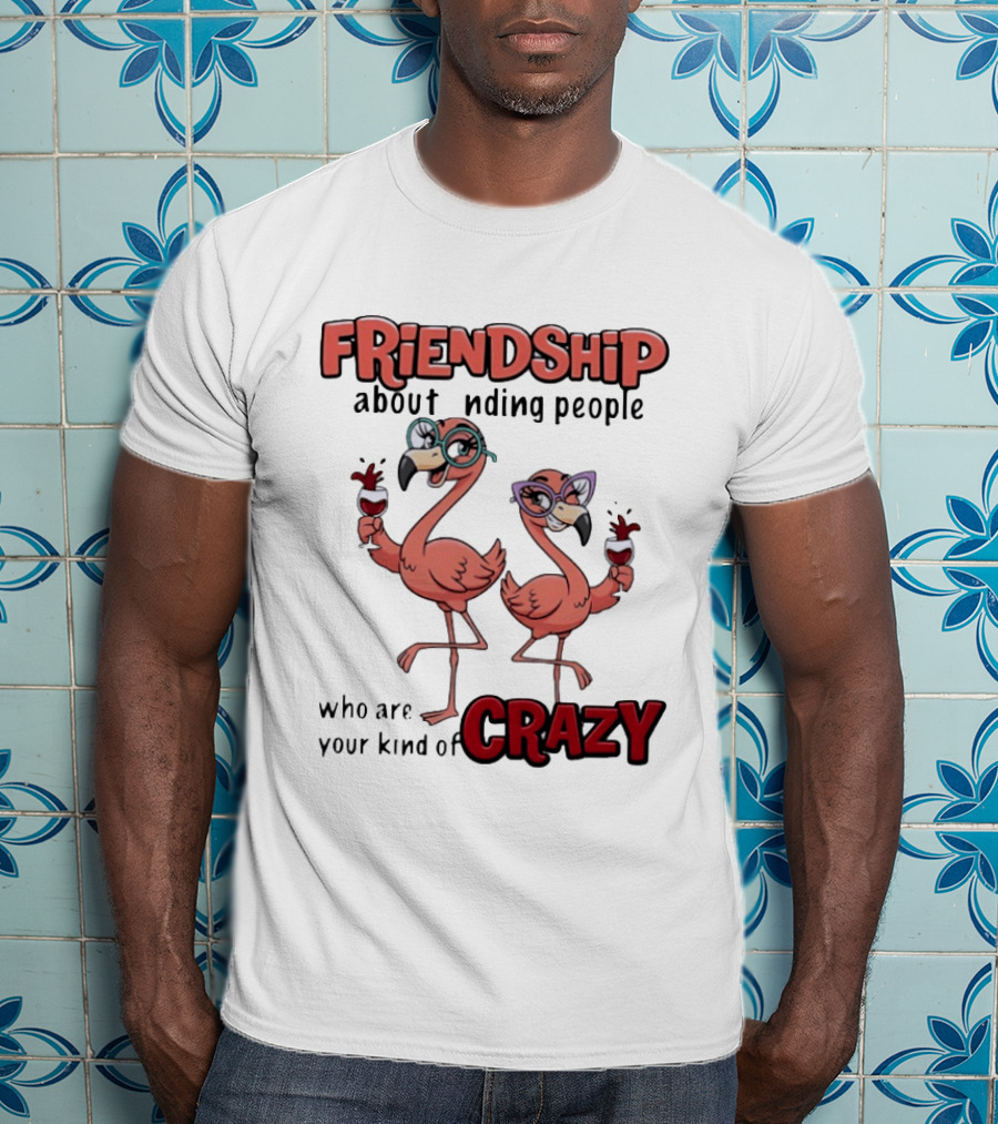 FRIENDSHIP About Finding People Who Are Your Kind Of CRAZY Flamingo Humor T-Shirt