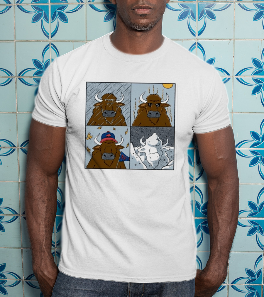 Buffalo Bills Seasons Buffalo Cartoon NFL Sports Fan T-Shirt