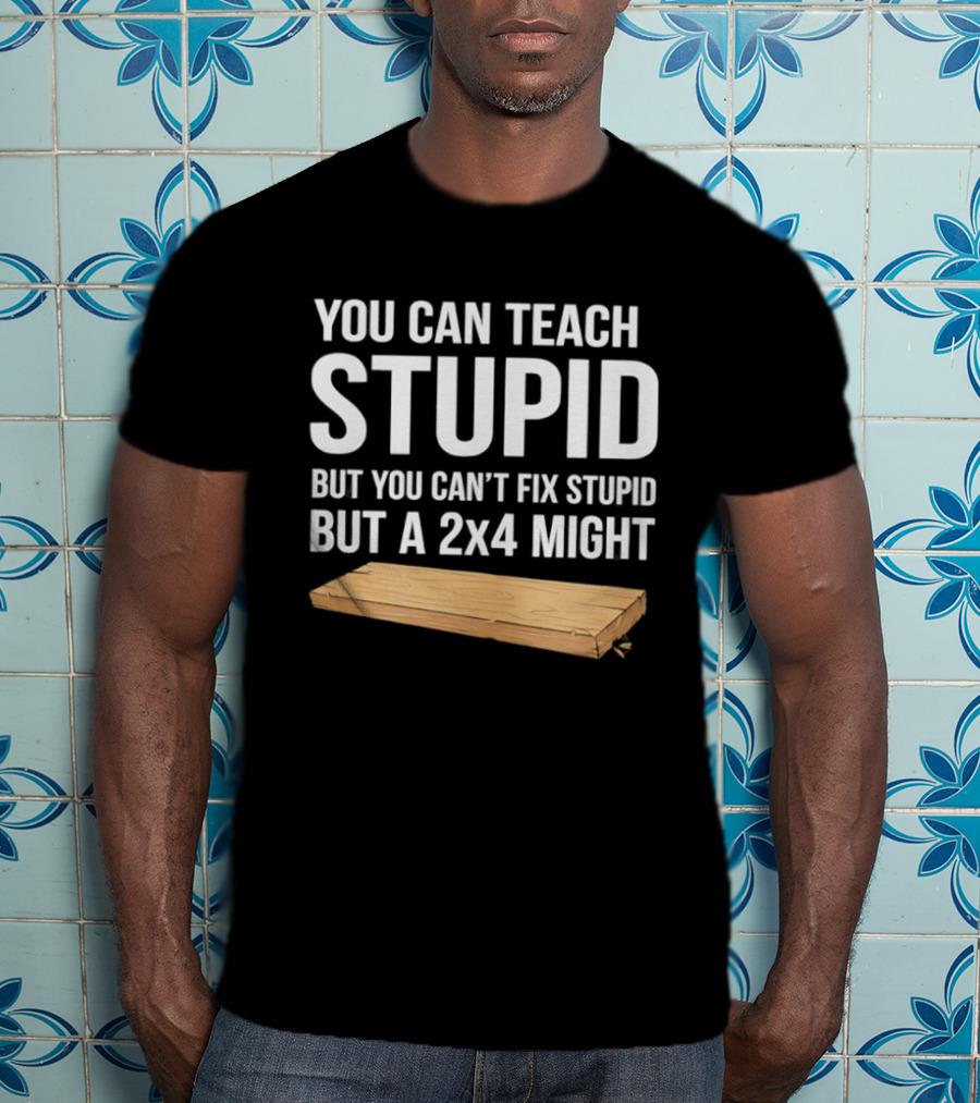 You Can Teach Stupid But You Can't Fix Stupid But A 2x4 Might T-Shirt