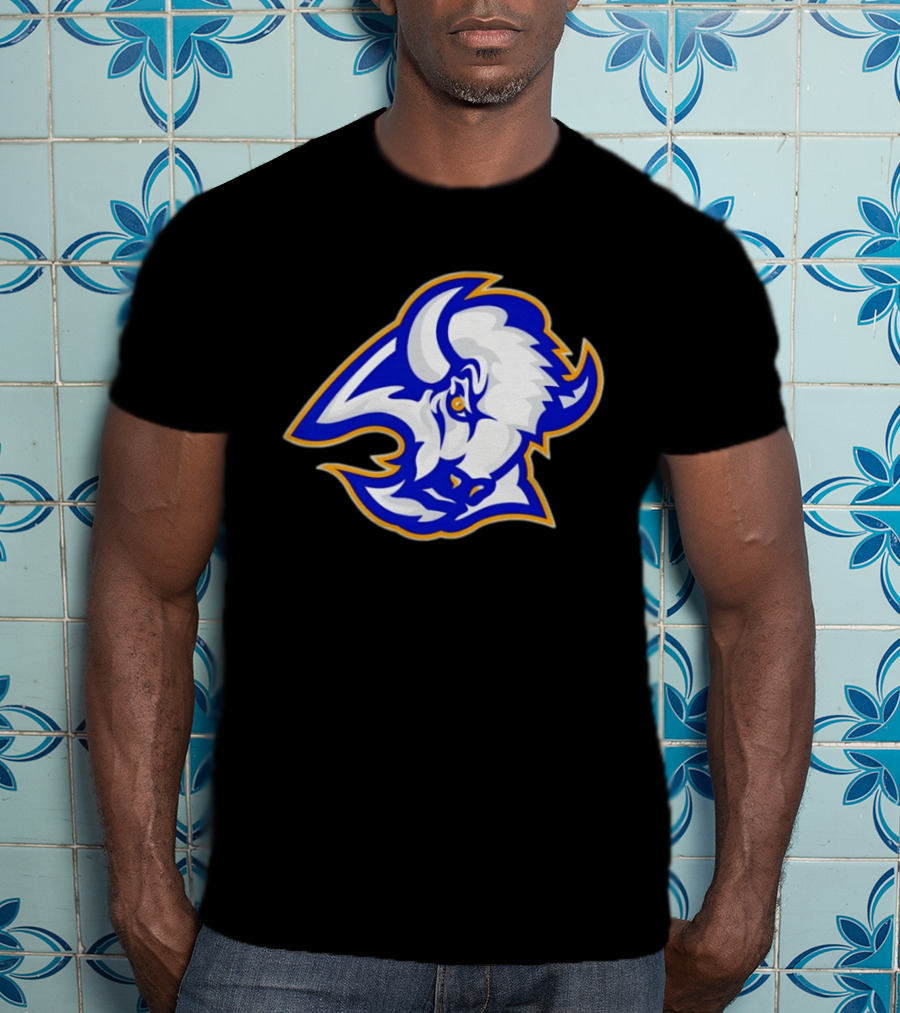 Buffalo Sabres Let's Go 2026 NHL Hockey T-Shirt