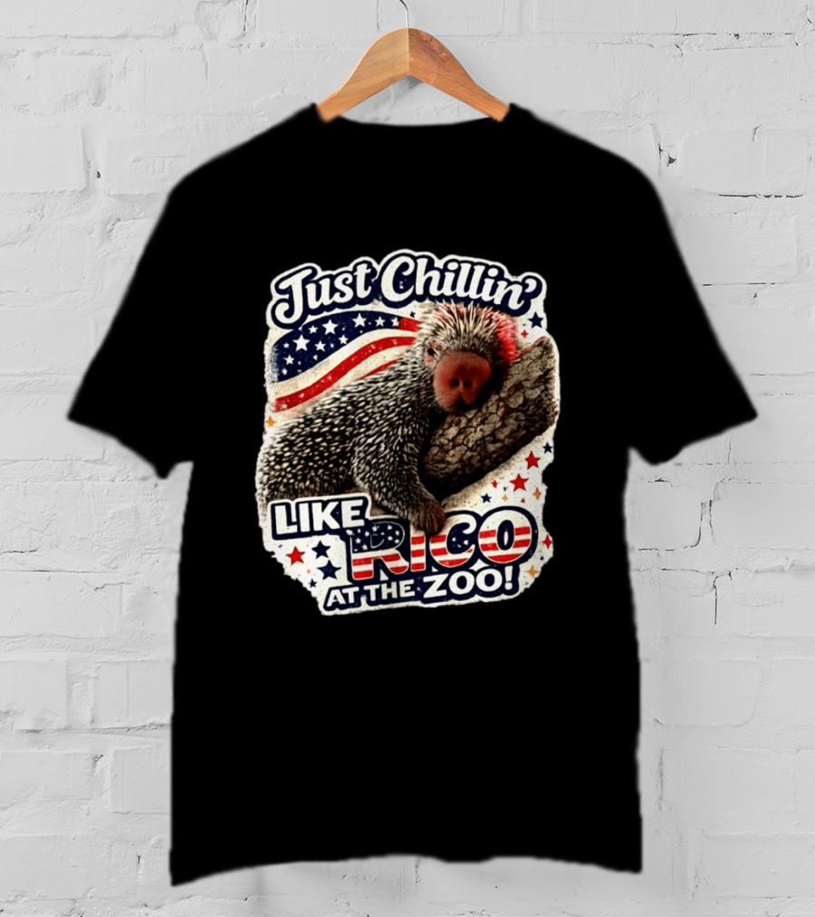 Just Chillin' Like Rico At The Zoo Patriotic Porcupine Vibes T-Shirt