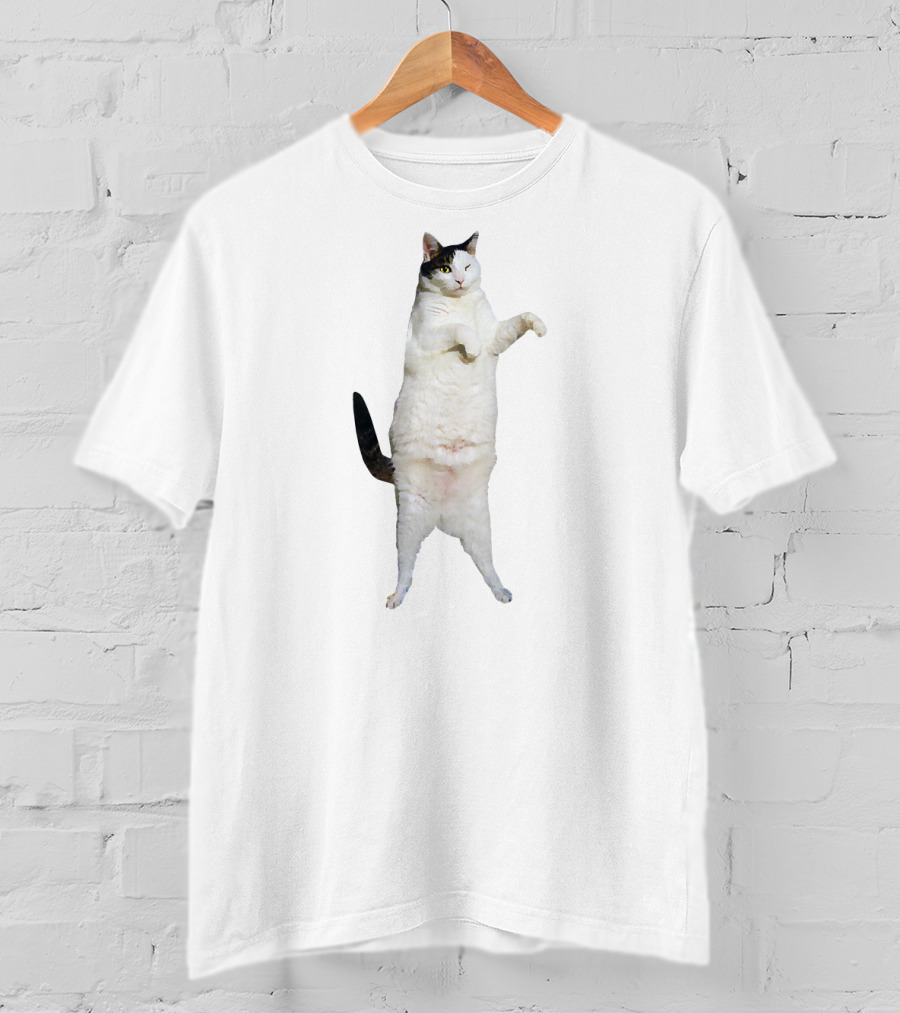 Kitty Cat Dance Meme T-Shirt