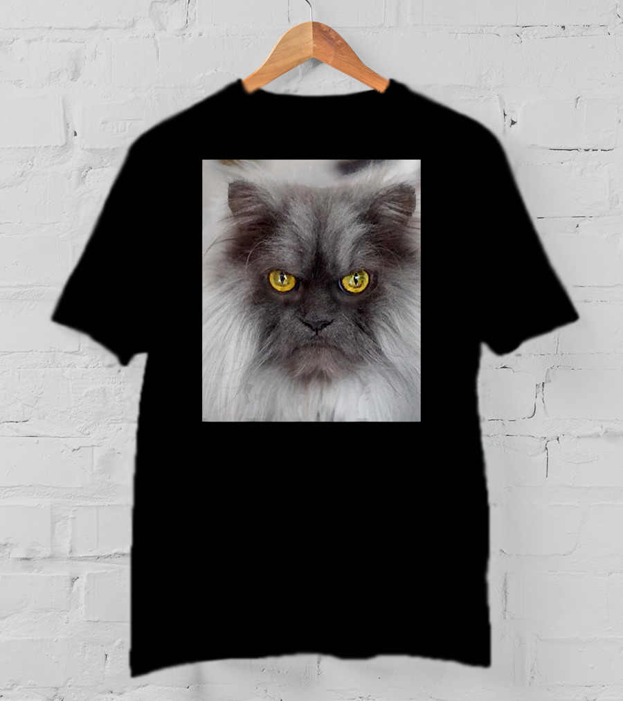 Jun The Angry Cat Golden Eyes Grumpy Expression T-Shirt