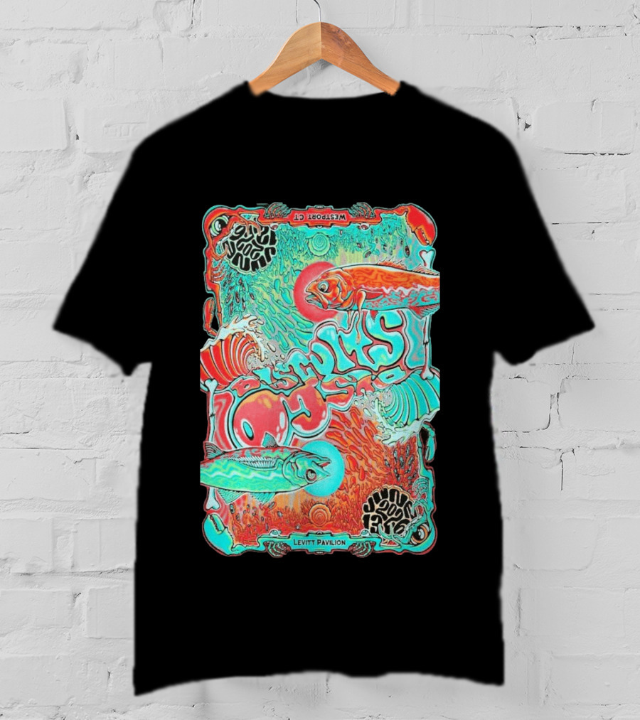 The Disco Biscuits Westport CT June 13 2026 Levitt Pavilion T-Shirt