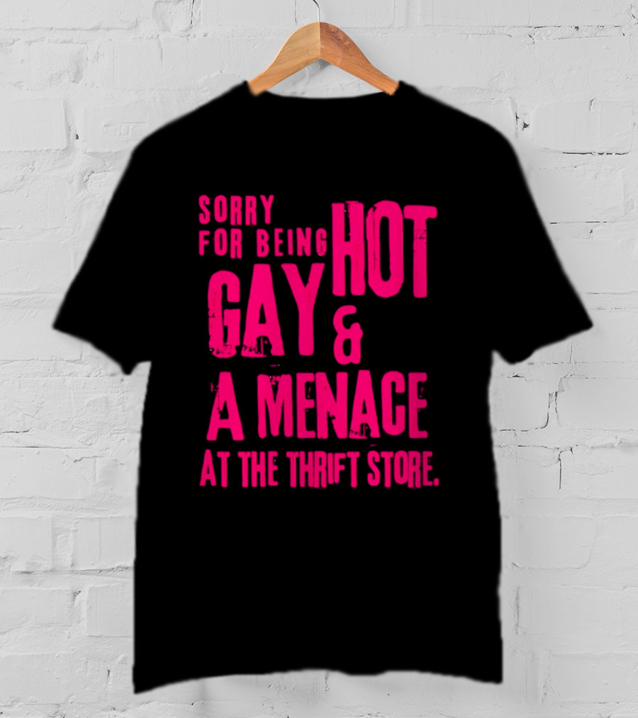 Sorry For Being Hot Gay And A Menace At The Thrift Store T-Shirt