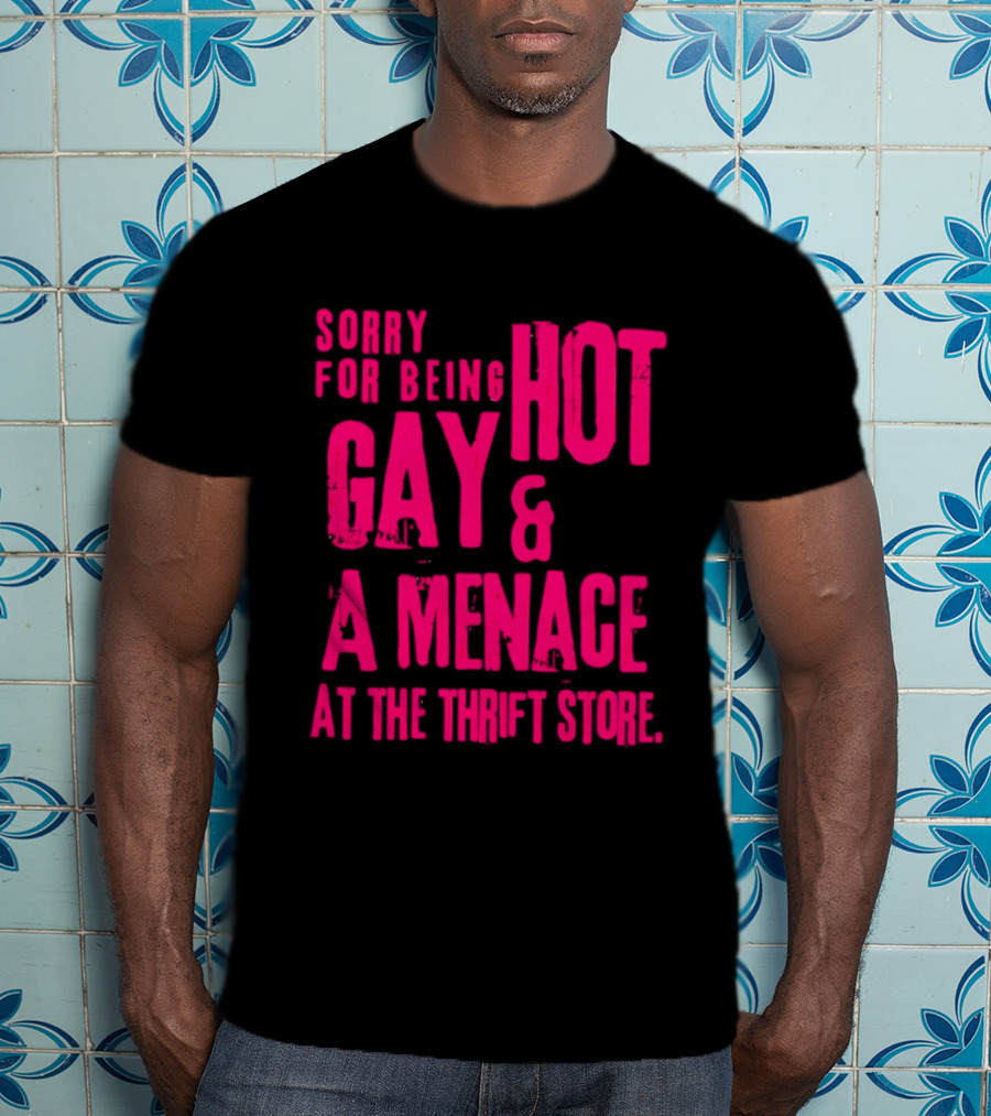 Sorry For Being Hot Gay And A Menace At The Thrift Store T-Shirt