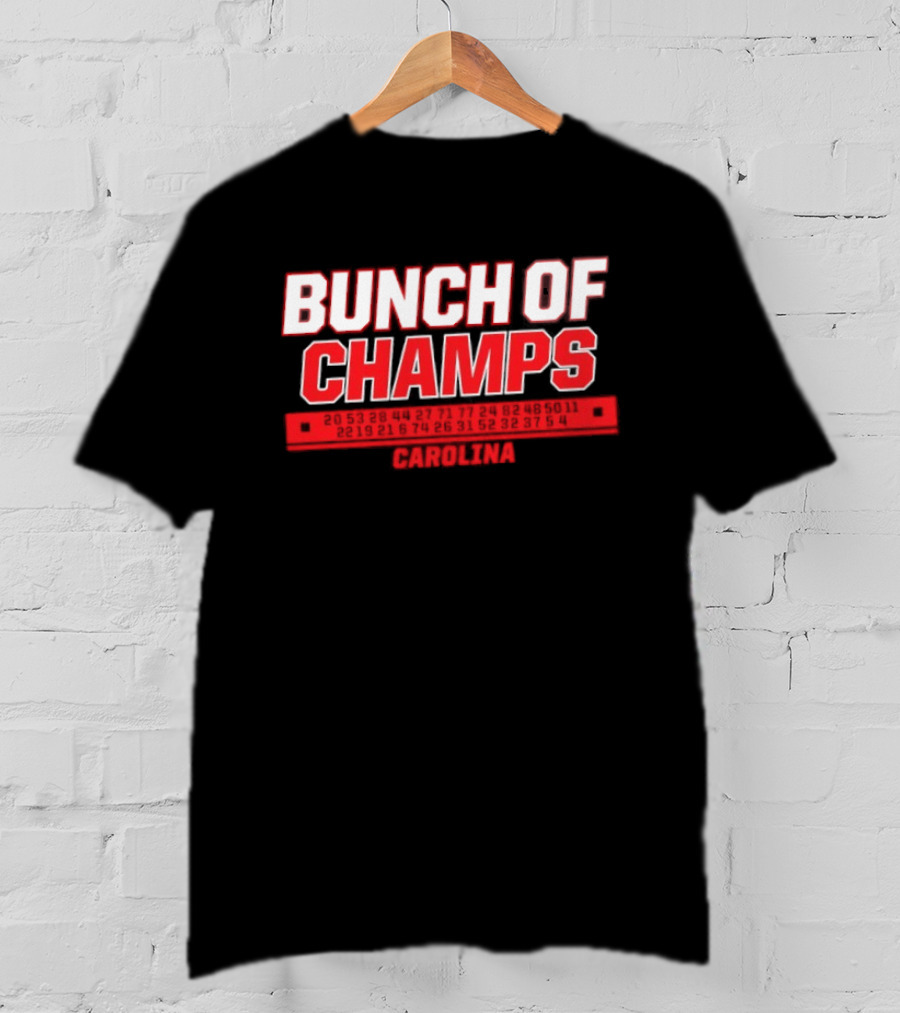 Carolina Hurricanes Bunch Of Champs 2026 T-Shirt