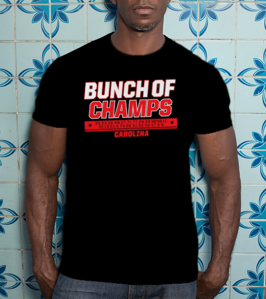 Carolina Hurricanes Bunch Of Champs 2026 T-Shirt