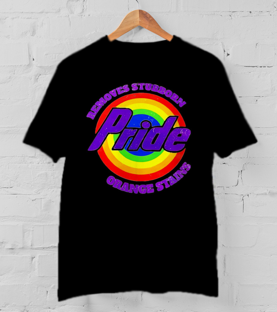 Pride Removes Stubborn Orange Stains Rainbow Circle T-Shirt