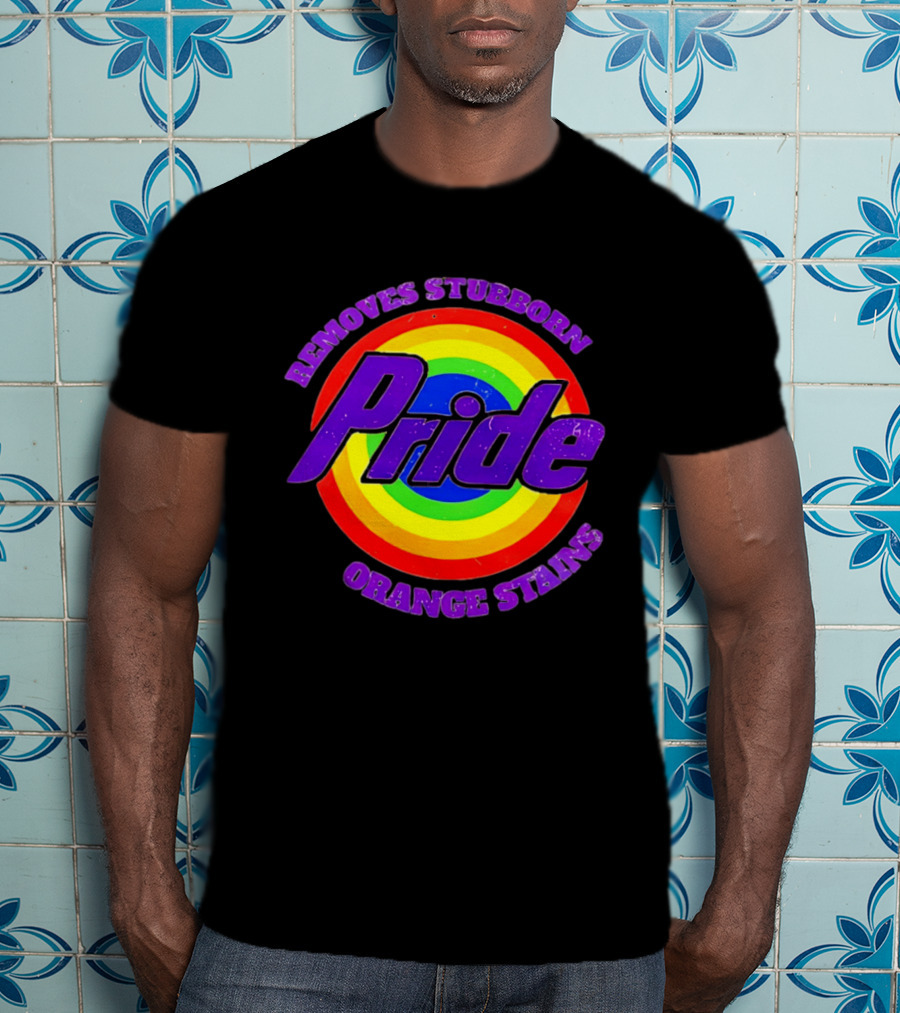 Pride Removes Stubborn Orange Stains Rainbow Circle T-Shirt