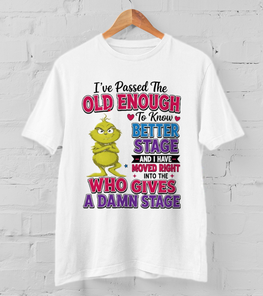 Passed The Old Enough To Know Better Moved Right Into The Who Gives A Damn Stage T-Shirt