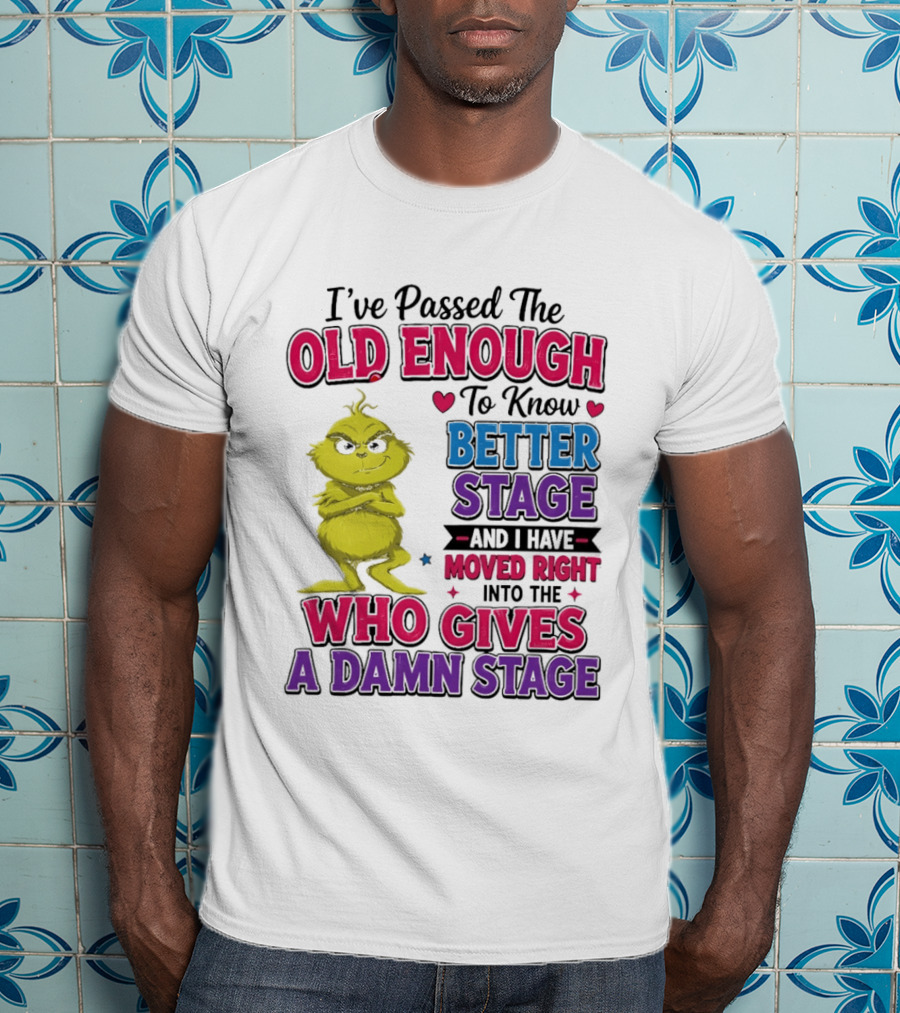 Passed The Old Enough To Know Better Moved Right Into The Who Gives A Damn Stage T-Shirt
