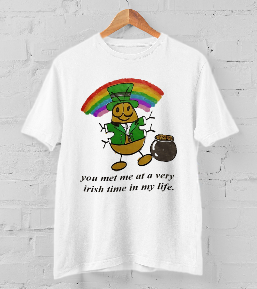 You Met Me At A Very Irish Time In My Life Rainbow Leprechaun Pot Of Gold T-Shirt