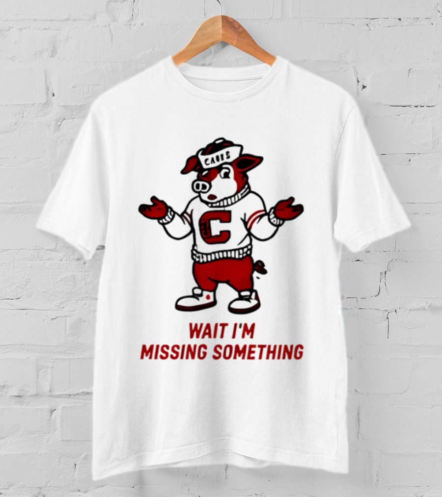 Carolina Hurricanes Wait I'm Missing Something 2026 NHL Hockey C Sweater Pig T-Shirt