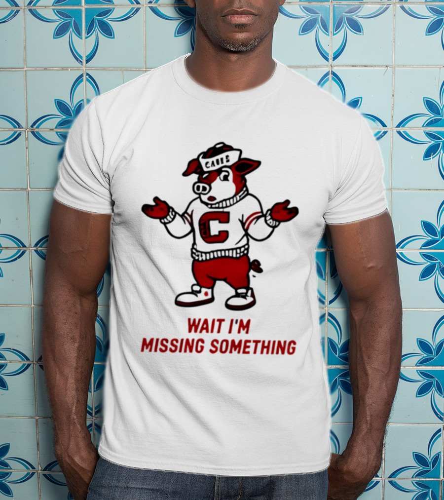 Carolina Hurricanes Wait I'm Missing Something 2026 NHL Hockey C Sweater Pig T-Shirt