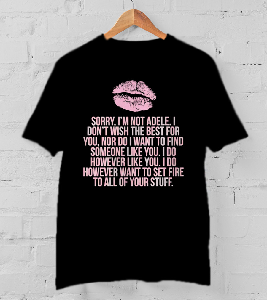 Sorry I'm Not Adele I Don't Wish The Best For You I Want To Set Fire To All Of Your Stuff T-Shirt