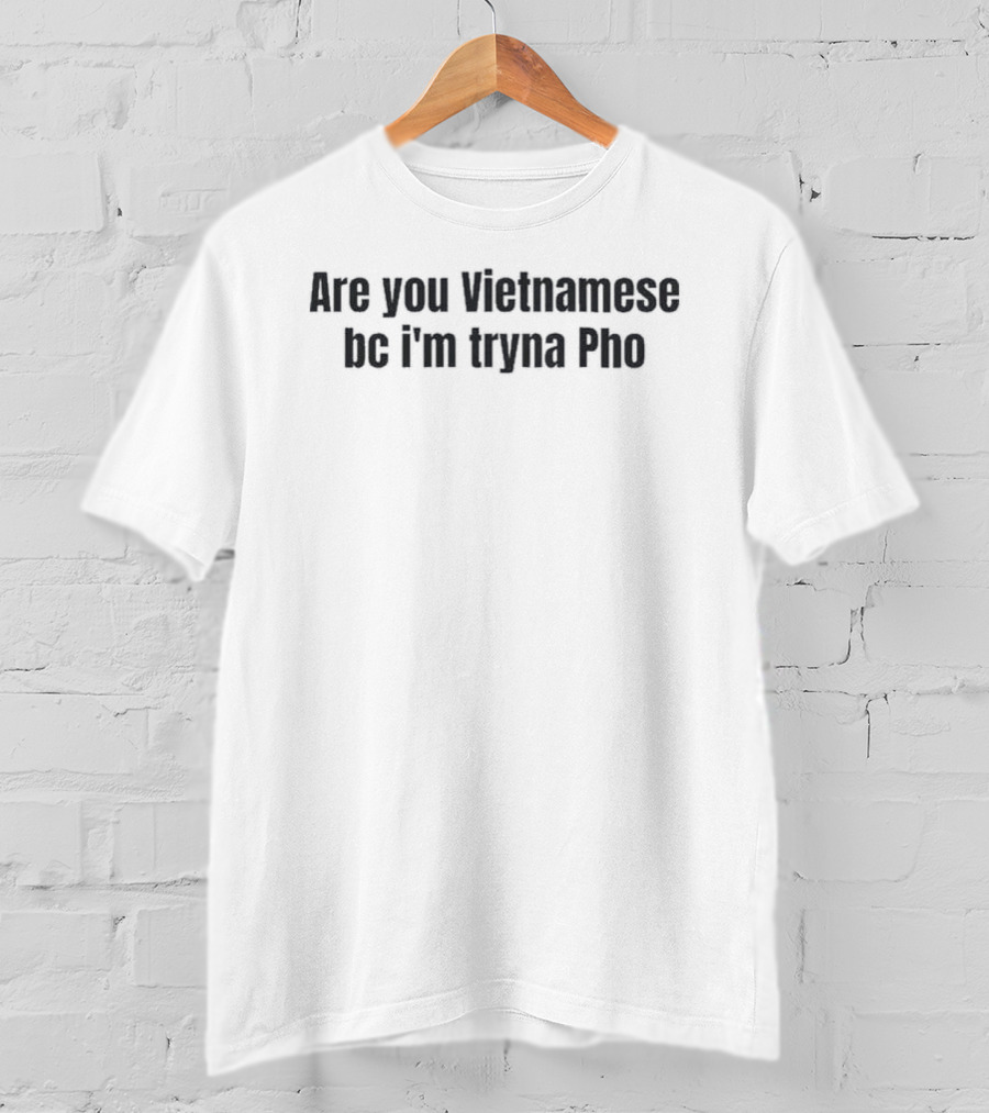 Are You Vietnamese Bc I'm Tryna Pho Vietnamese Noodle Pun T-Shirt