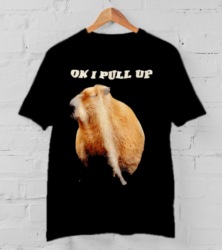 Ok I Pull Up Capybara Meme T-Shirt