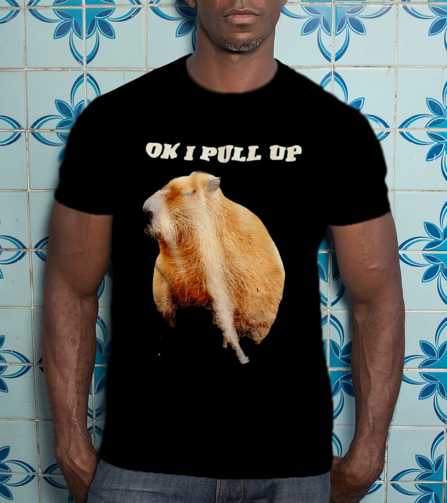 Ok I Pull Up Capybara Meme T-Shirt