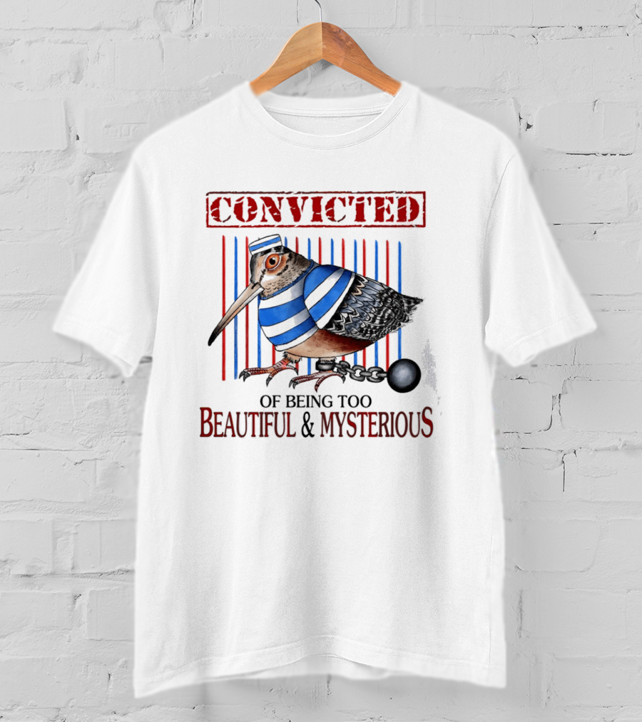 Convicted Of Being Too Beautiful And Mysterious Bird Prisoner Stripes T-Shirt