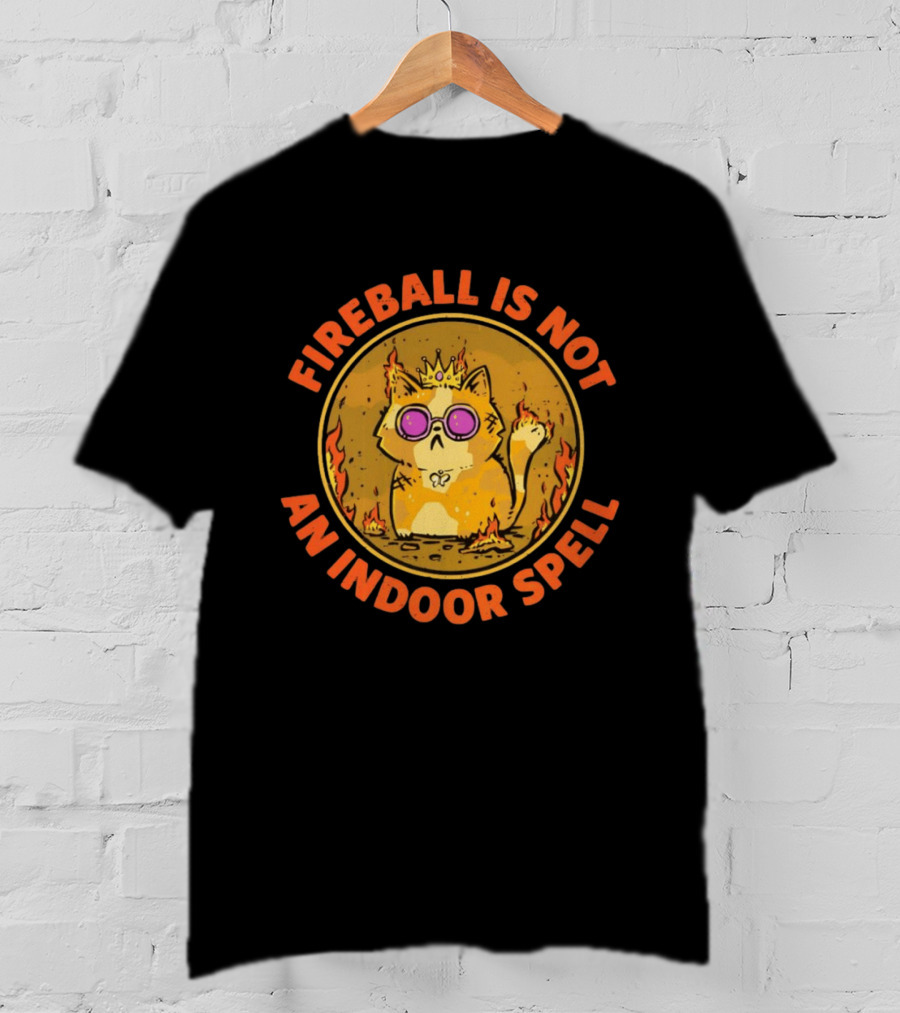 Princess Donut Fireball Is Not An Indoor Spell Dungeon Crawler Carl T-Shirt