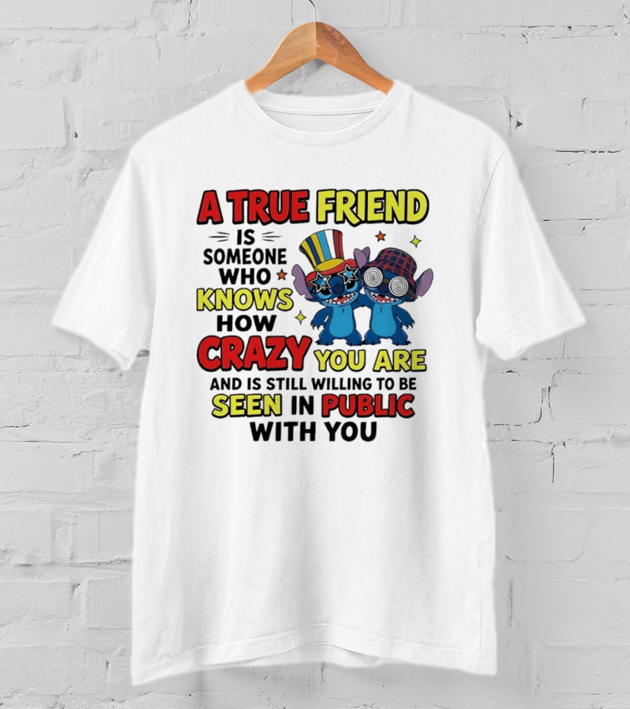 A True Friend Is Someone Who Knows How Crazy You Are And Is Still Willing To Be Seen In Public With You Stitch T-Shirt