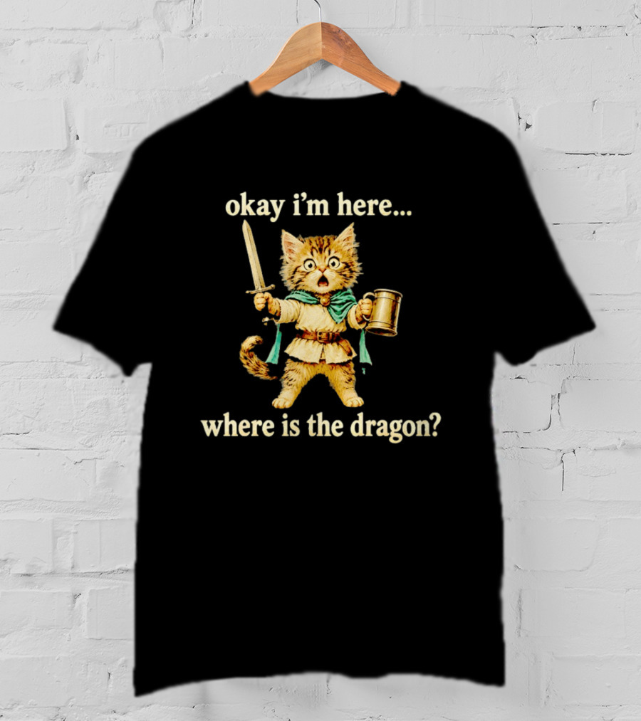 Okay I'm Here Where Is The Dragon Cat Knight Sword Adventure T-Shirt