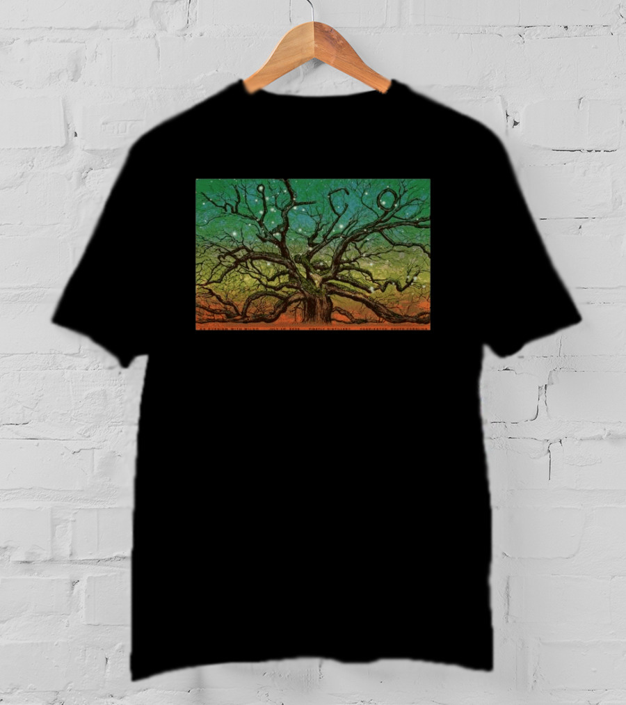 Wilco Sky Stars Charleston July 2026 T-Shirt