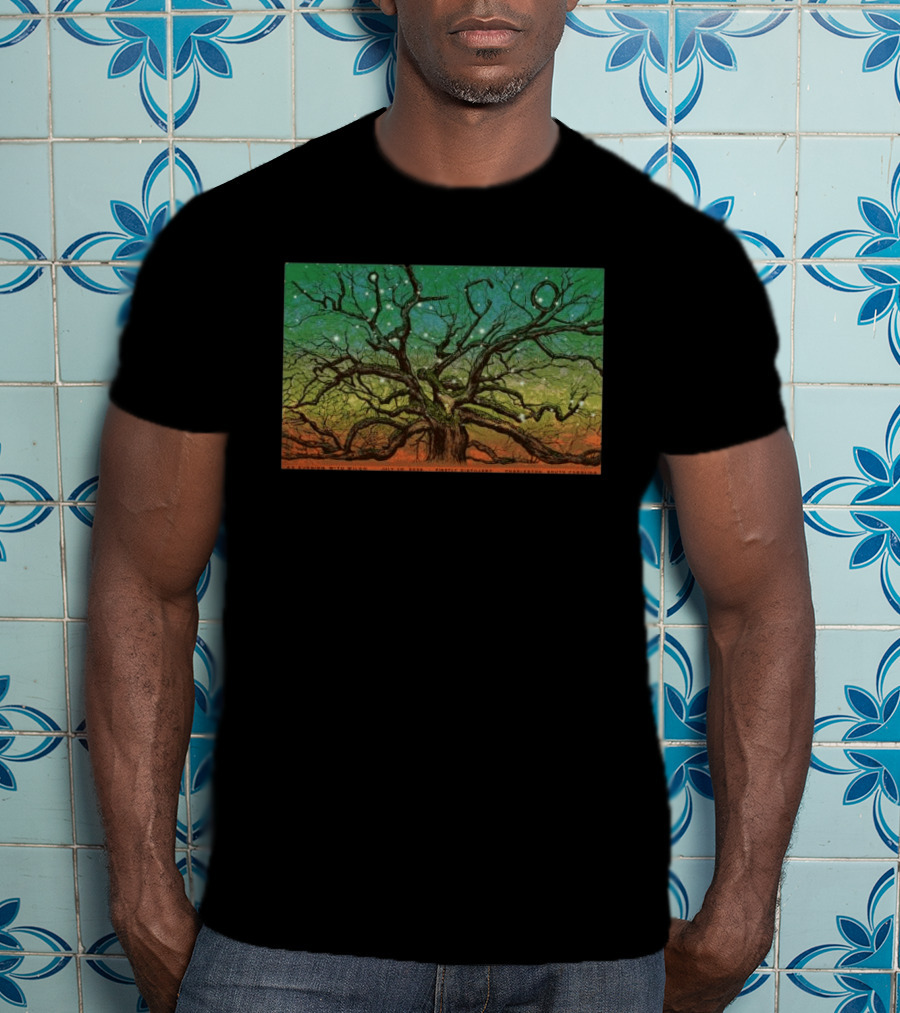Wilco Sky Stars Charleston July 2026 T-Shirt