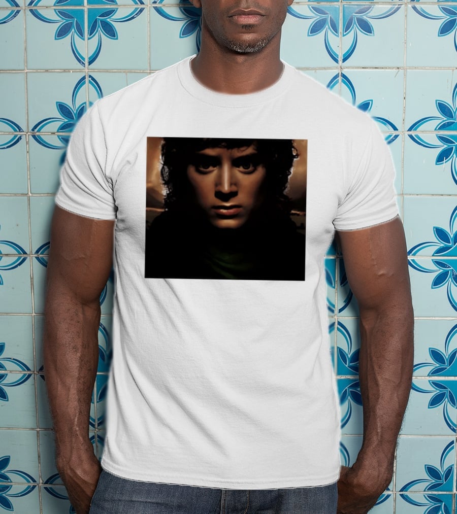 Frodo Baggins The Lord Of The Rings T-Shirt