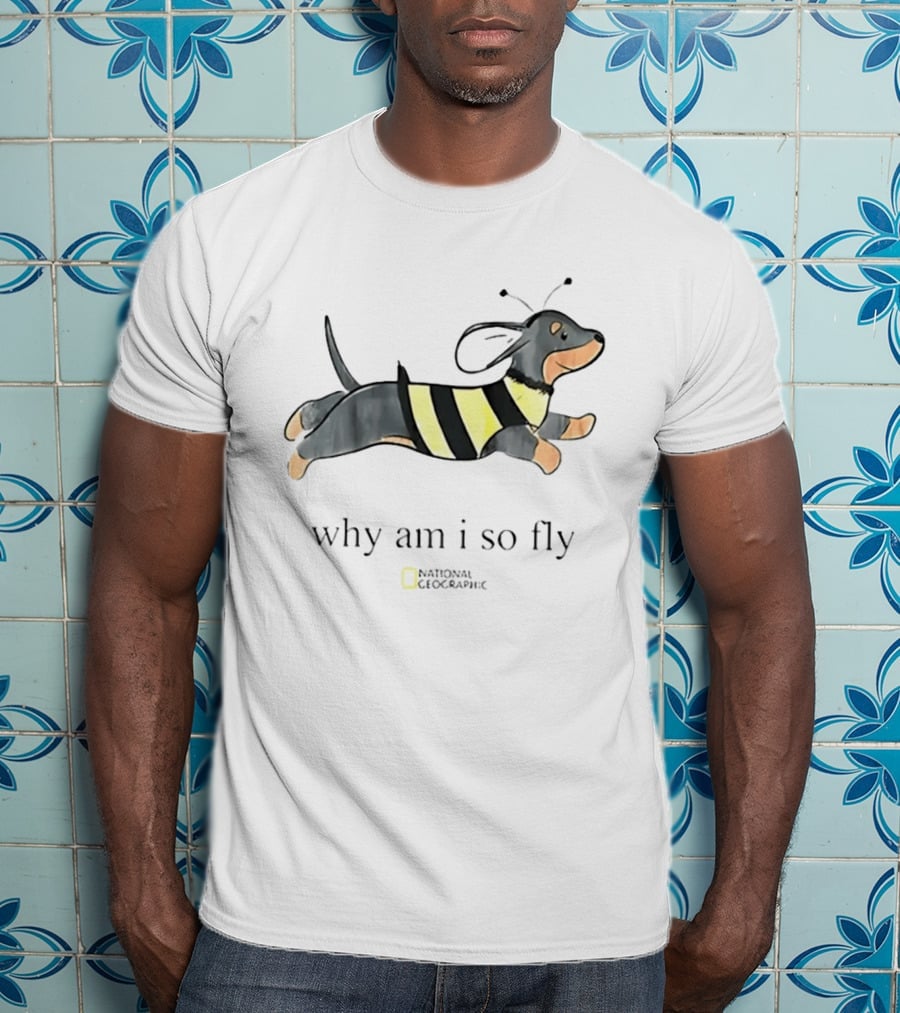 Why Am I So Fly Dachshund Bee National Geographic T-Shirt